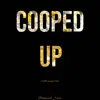 Cooped Up (Instrumental) song lyrics