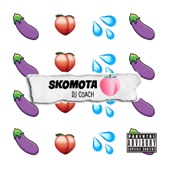 Skomota artwork