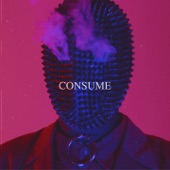 Consume (feat. Lana Paige) artwork