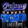 Las Llaves - Single album lyrics, reviews, download