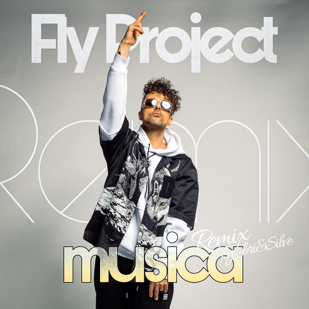 Project musica. Fly Project musica. Fly Project. Fly up Project.