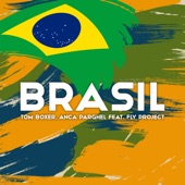 Brasil (feat. Fly Project) artwork