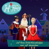 Juf Roos Sinterklaasliedjes voor vijf december artwork