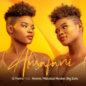 Alusafani (feat. Xowla, Mduduzi Ncube &amp; Big Zulu) - Q Twins Cover Art