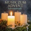 Pavlo Beznosiuk & Avison Ensemble - Concerto Grosso in G Minor, Op. 6 No. 8 "Christmas Concerto": III. Adagio - Allegro