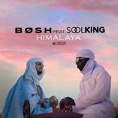 Himalaya (feat. Soolking) artwork