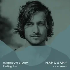 Feeling You (Mahogany Sessions) - Single by Harrison Storm album reviews, ratings, credits