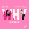 Why (Remix) - Single, 2024