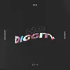 No Diggity - Single album lyrics, reviews, download