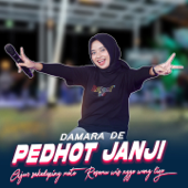 Pedhot Janji by Damara De - cover art