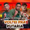 Stream & download Voltei pra Putaria - Single