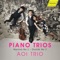 Piano Trio No. 3 in F Minor, Op. 65, B. 130: I. Allegro ma non troppo artwork