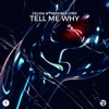 Tell Me Why - Single, 2024