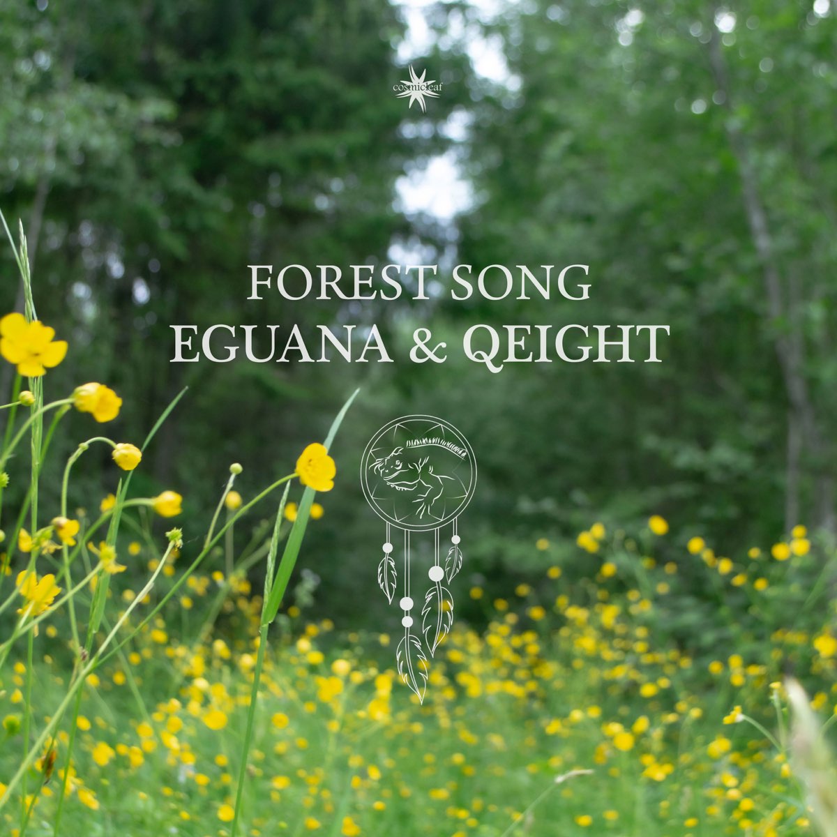 Song of the Forest. Eguana 2022 Forest Song. Recreation Eguana, qeight. Eguana 2022 a beautiful Dreamer.