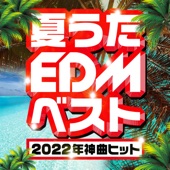 夏うたEDMベスト -2022年神曲ヒット- artwork