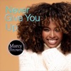 Never Give You Up - Single