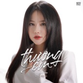Thương Em (Ciray Remix) artwork