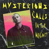 Mysterious Calls (In the Night) [feat. Fred Ventura] artwork