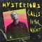 Mysterious Calls (In the Night) [feat. Fred Ventura] artwork
