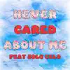 Never Cared About Me (feat. SOLOCELO) - Single album lyrics, reviews, download