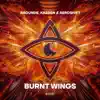 Stream & download Burnt Wings - Single