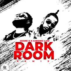 Dark Room (Remix) Song Lyrics
