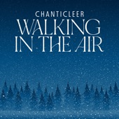 Walking in the Air (Arr. for Voices by Adam Ward) artwork