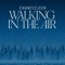 Walking in the Air (Arr. for Voices by Adam Ward) artwork
