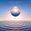 Liquid Mind XIV: Simplicity