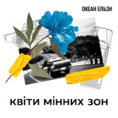 Квіти мінних зон artwork