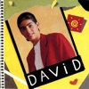 David, 1996