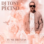 Tu Me Delatas (Cover) artwork