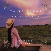 Ya No Somos Ni Seremos artwork