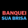 Banquei Sua Brisa - Single (feat. DJ Loiraoh & MC GW) - Single album lyrics, reviews, download