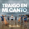 Traigo en Mi Canto - Single