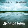 Amor de Índio - Single