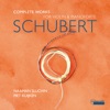 Piet Kuijken - Fantasie in C Major, D. 934: Allegretto