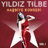 Yıldız Tilbe Harbiye Konseri, Vol. 1 artwork