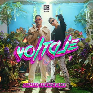 Luister La Voz & Robi - Voltaje - 排舞 音樂
