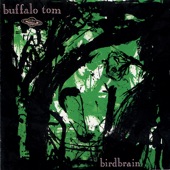 Buffalo Tom - Bleeding Heart