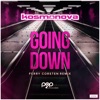 Going Down (Ferry Corsten Remix) - Single