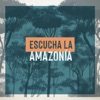 Simón Mejía - Esta Es Tu Tierra