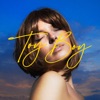 Laura Druzy - Toy Boy