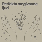 Perfekta omgivande ljud artwork