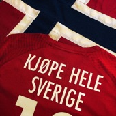 Kjøpe Hele Sverige artwork