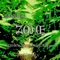 Zone (feat. Junky, Shinma02 & Adnym) - BNKR街道 lyrics