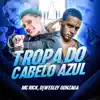 Stream & download Tropa Do Cabelo Azul - Single