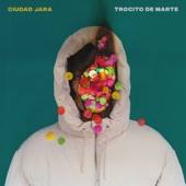 Trocito de Marte artwork