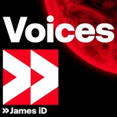 Voices artwork