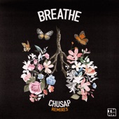 Breathe (DJ Fuel Remix) artwork